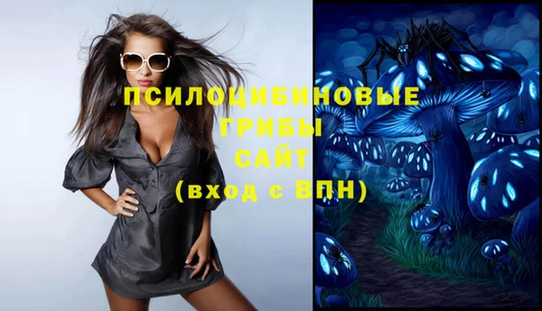 альфа пвп Краснослободск
