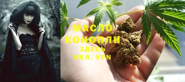 шишки Богородск